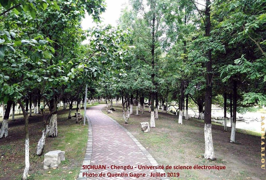 Chengdu- Universite Science electronique 013.jpg